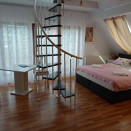 Pension Donaublick Grein 2 In Stifterstrasse19. المظهر الخارجي الصورة