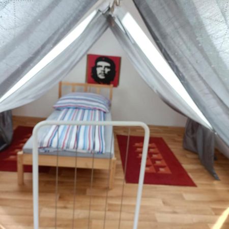 Pension Donaublick Grein 2 In Stifterstrasse19. المظهر الخارجي الصورة