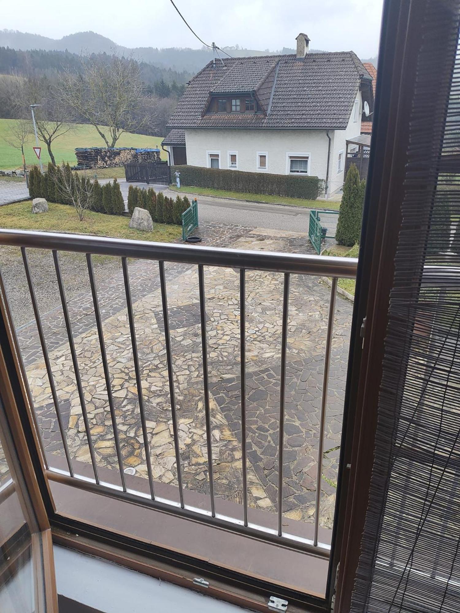 Pension Donaublick Grein 2 In Stifterstrasse19. المظهر الخارجي الصورة