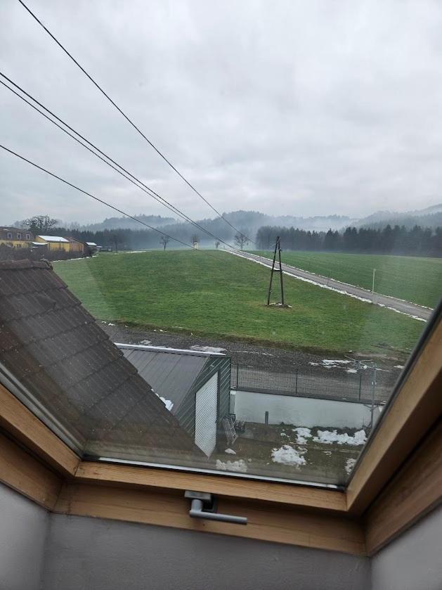 Pension Donaublick Grein 2 In Stifterstrasse19. المظهر الخارجي الصورة