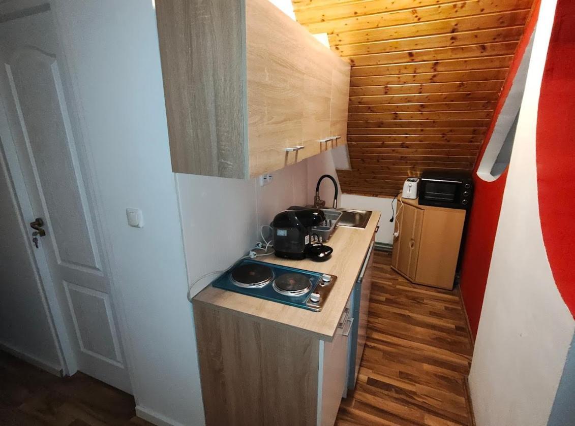 Pension Donaublick Grein 2 In Stifterstrasse19. المظهر الخارجي الصورة