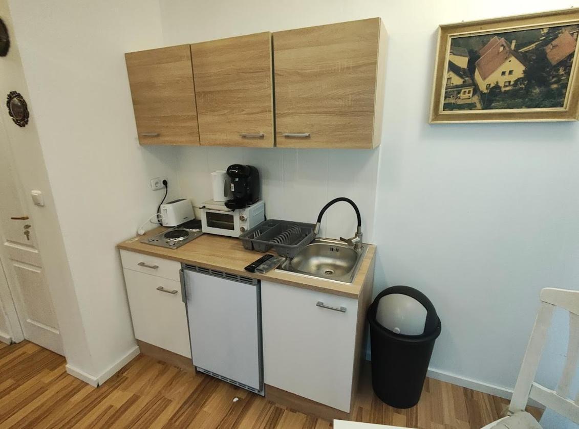 Pension Donaublick Grein 2 In Stifterstrasse19. المظهر الخارجي الصورة