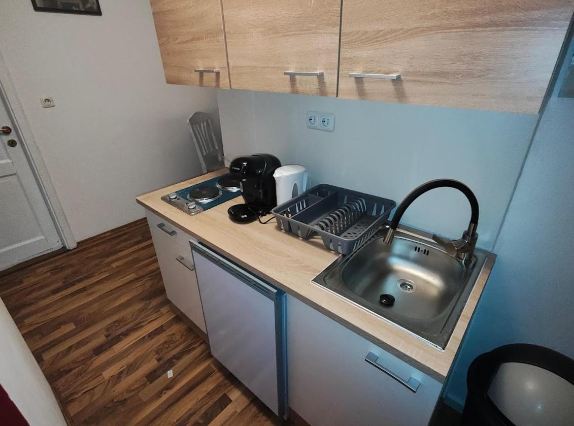 Pension Donaublick Grein 2 In Stifterstrasse19. المظهر الخارجي الصورة