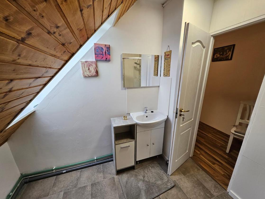 Pension Donaublick Grein 2 In Stifterstrasse19. المظهر الخارجي الصورة