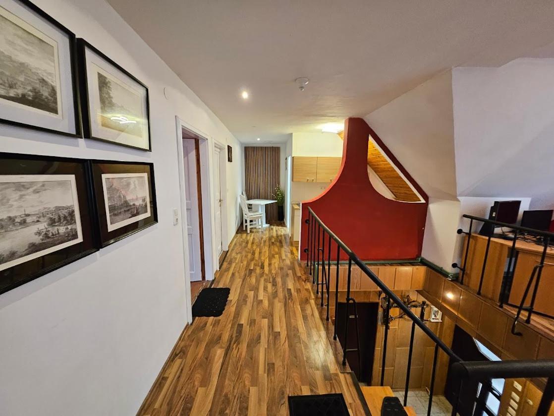Pension Donaublick Grein 2 In Stifterstrasse19. المظهر الخارجي الصورة