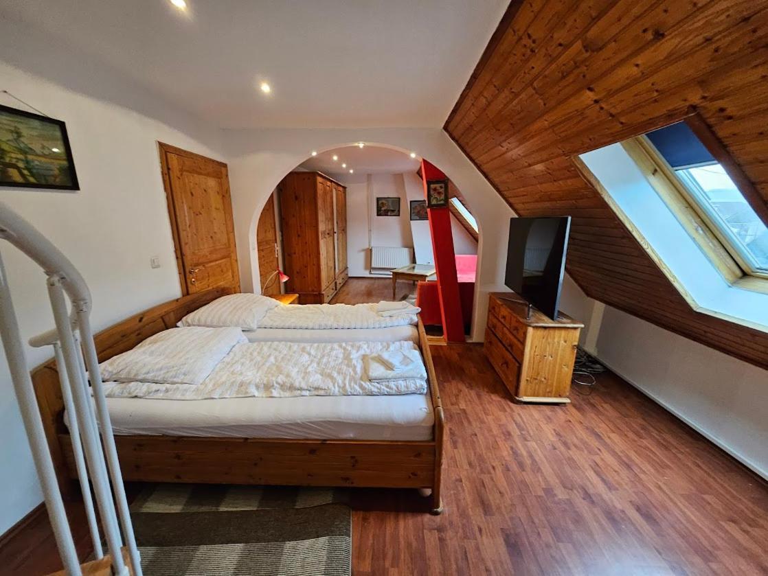 Pension Donaublick Grein 2 In Stifterstrasse19. المظهر الخارجي الصورة