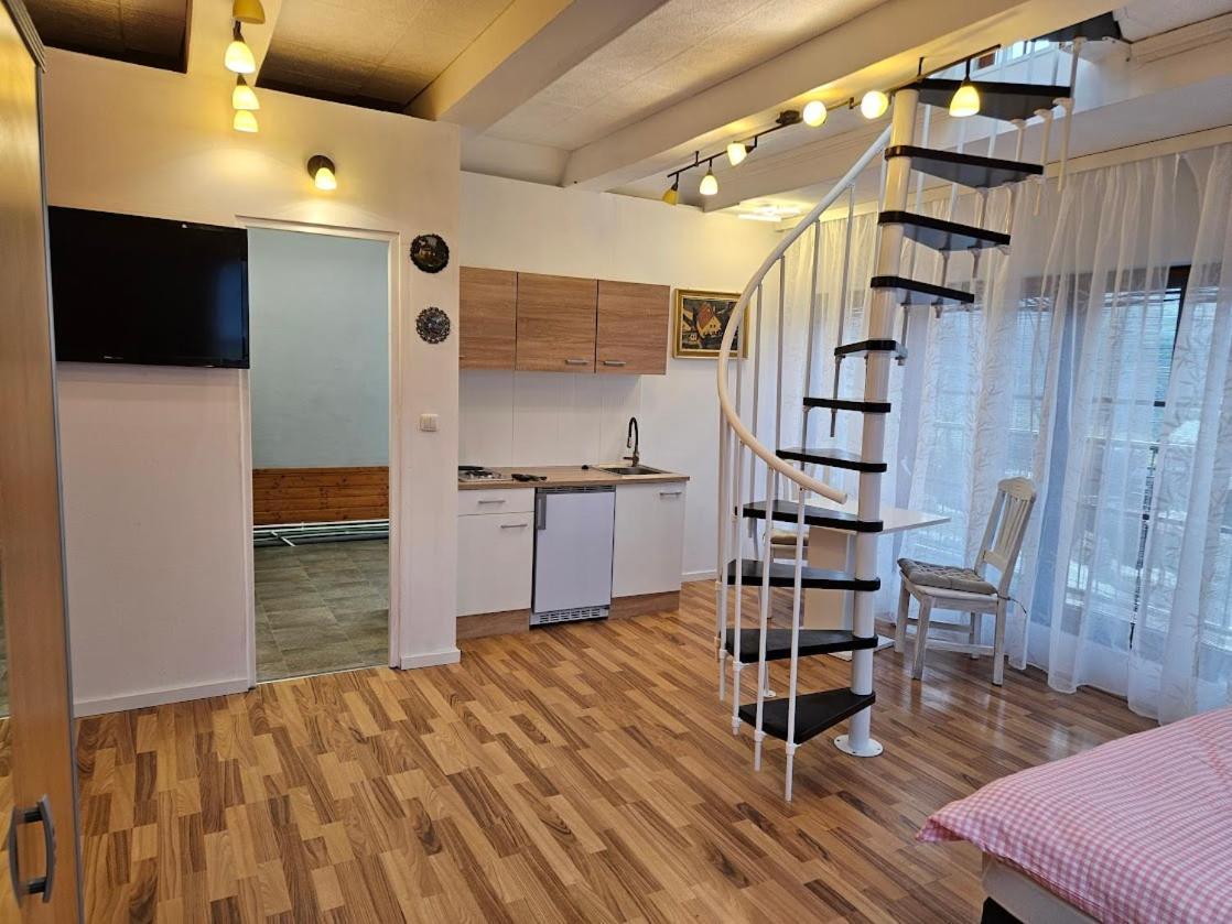 Pension Donaublick Grein 2 In Stifterstrasse19. المظهر الخارجي الصورة
