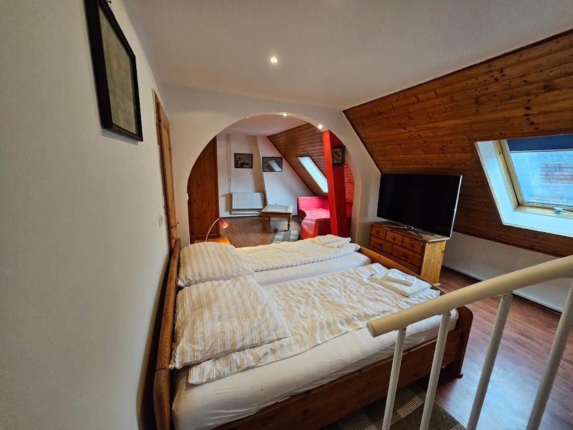 Pension Donaublick Grein 2 In Stifterstrasse19. المظهر الخارجي الصورة